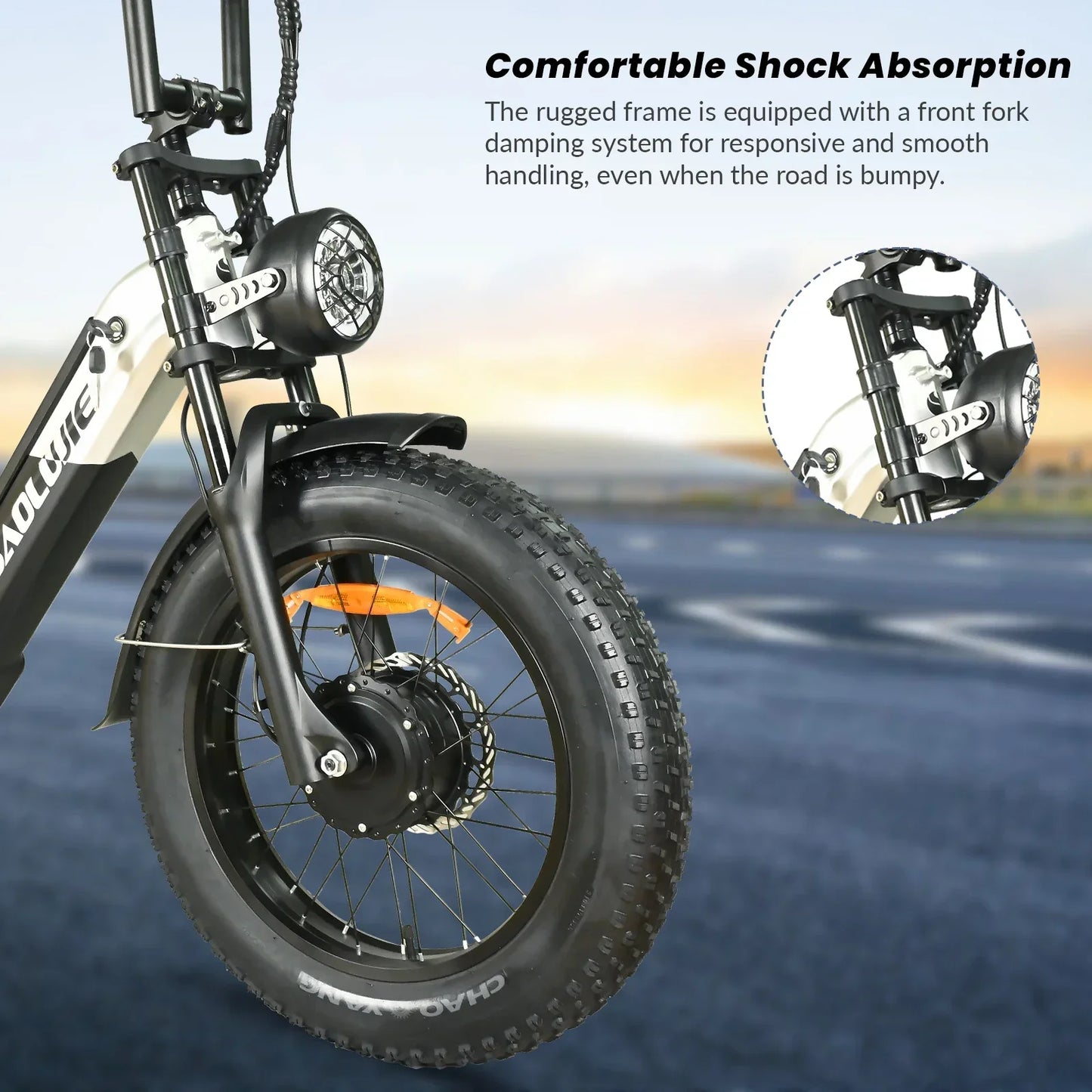 Electric Bicycle 2000W Dual Motor 48V30AH Lithium Battery E-bike 20*4 Inch Fat Tire Mountain Cargo Electric Bike