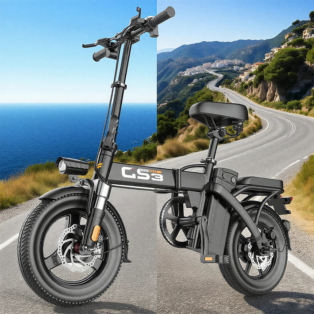 Electric Bike Bicycle Exercise Electric City Bike E Bike TOOFLY Folding Ebike 250W