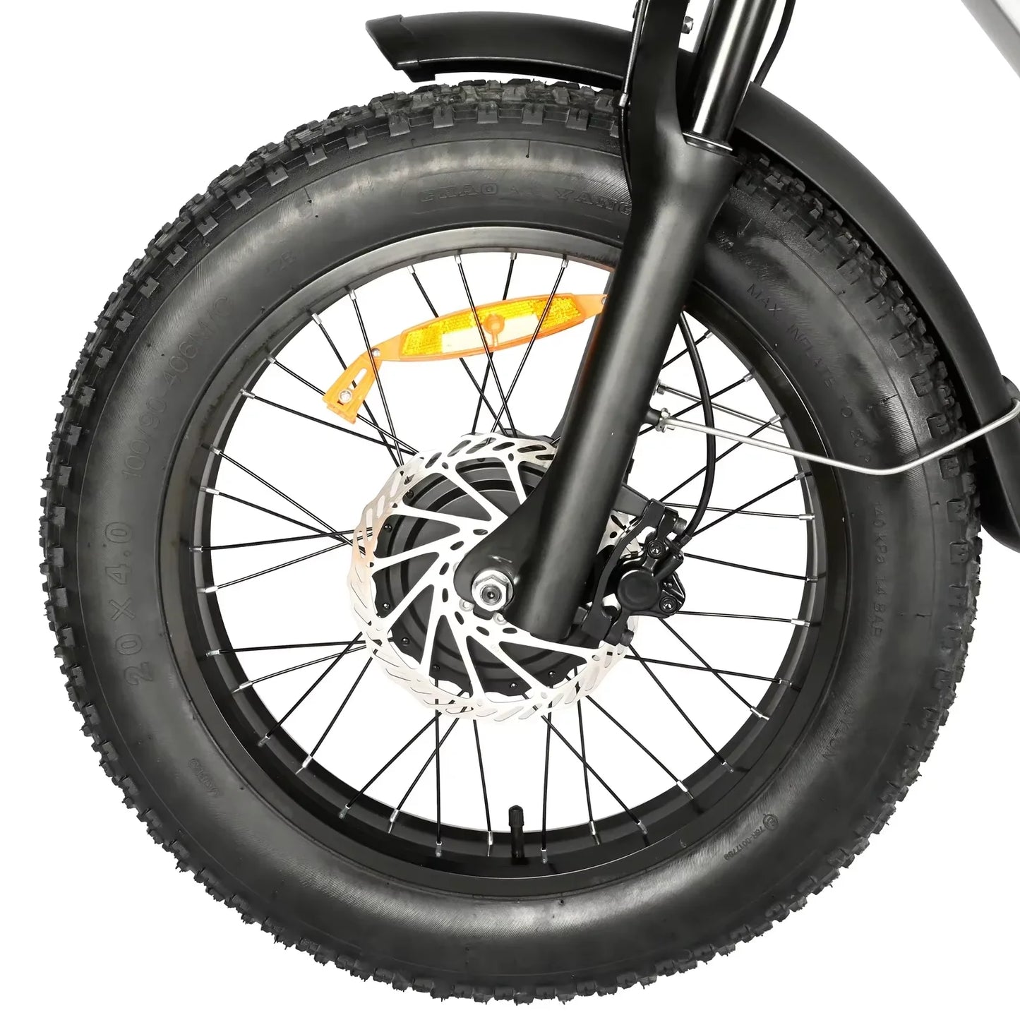 Electric Bicycle 2000W Dual Motor 48V30AH Lithium Battery E-bike 20*4 Inch Fat Tire Mountain Cargo Electric Bike