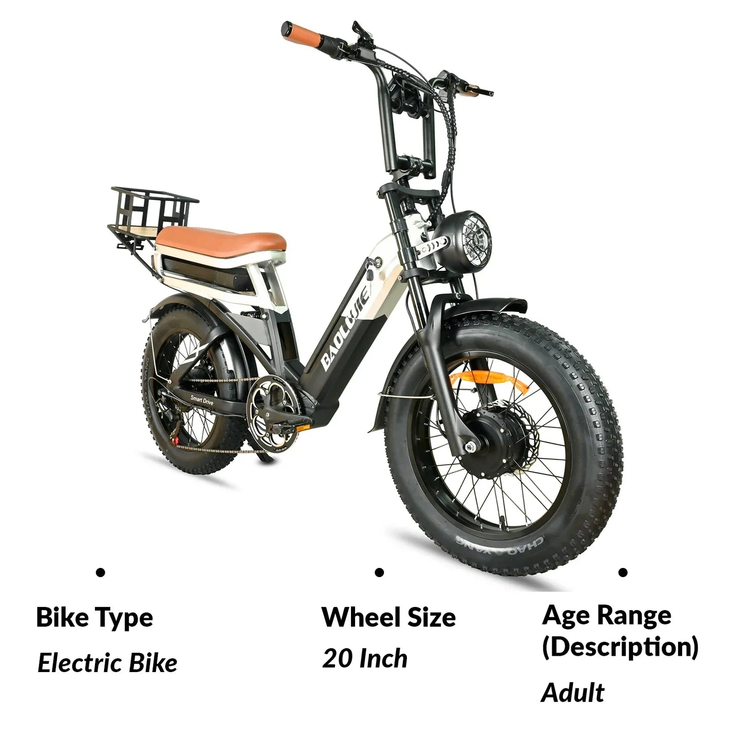 Electric Bicycle 2000W Dual Motor 48V30AH Lithium Battery E-bike 20*4 Inch Fat Tire Mountain Cargo Electric Bike