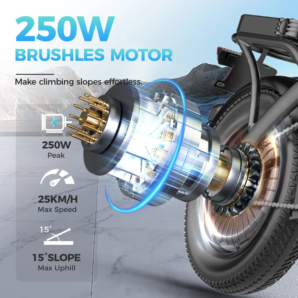 Electric Bike Bicycle Exercise Electric City Bike E Bike TOOFLY Folding Ebike 250W