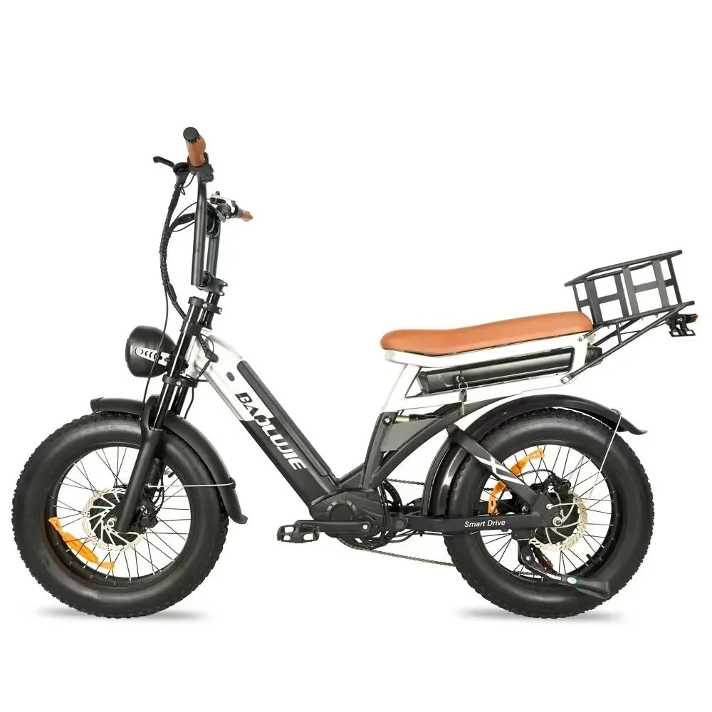 Electric Bicycle 2000W Dual Motor 48V30AH Lithium Battery E-bike 20*4 Inch Fat Tire Mountain Cargo Electric Bike