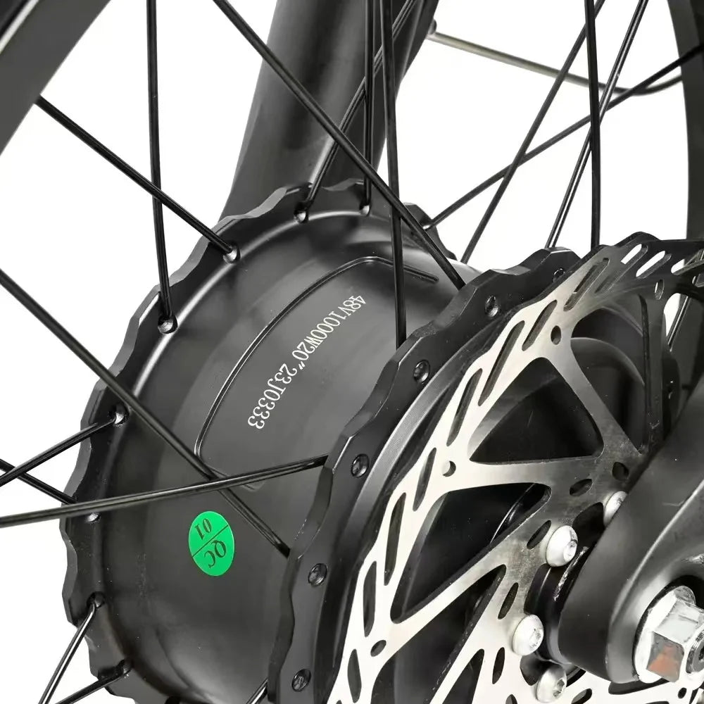 Electric Bicycle 2000W Dual Motor 48V30AH Lithium Battery E-bike 20*4 Inch Fat Tire Mountain Cargo Electric Bike