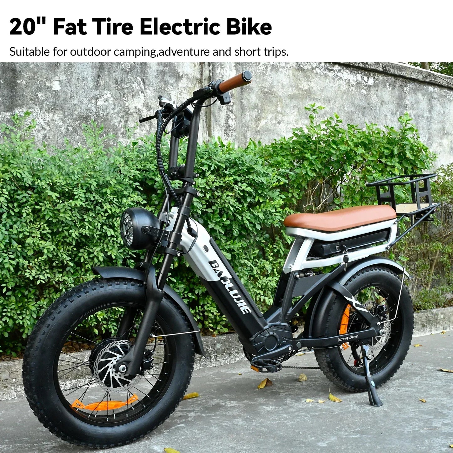 Electric Bicycle 2000W Dual Motor 48V30AH Lithium Battery E-bike 20*4 Inch Fat Tire Mountain Cargo Electric Bike